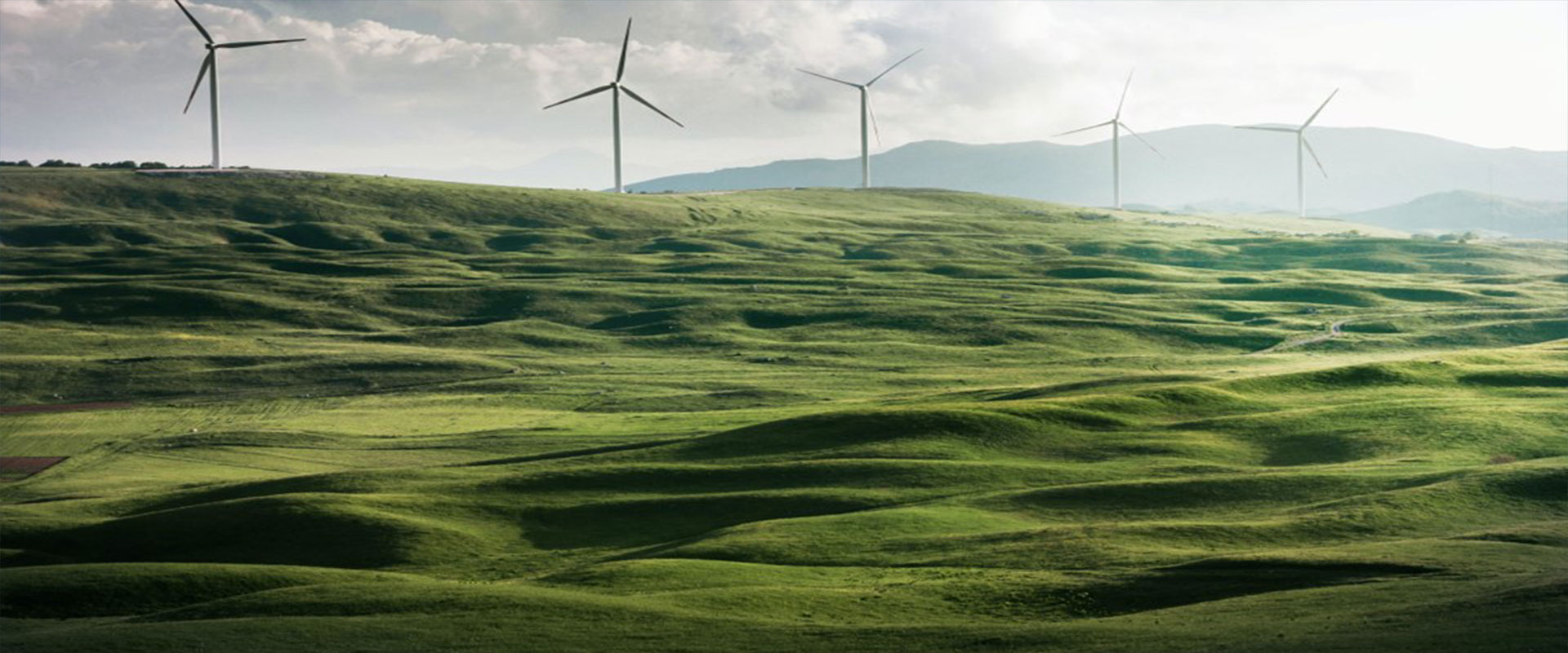 Details of IPPs under Green Energy Open Access  in  Karnataka